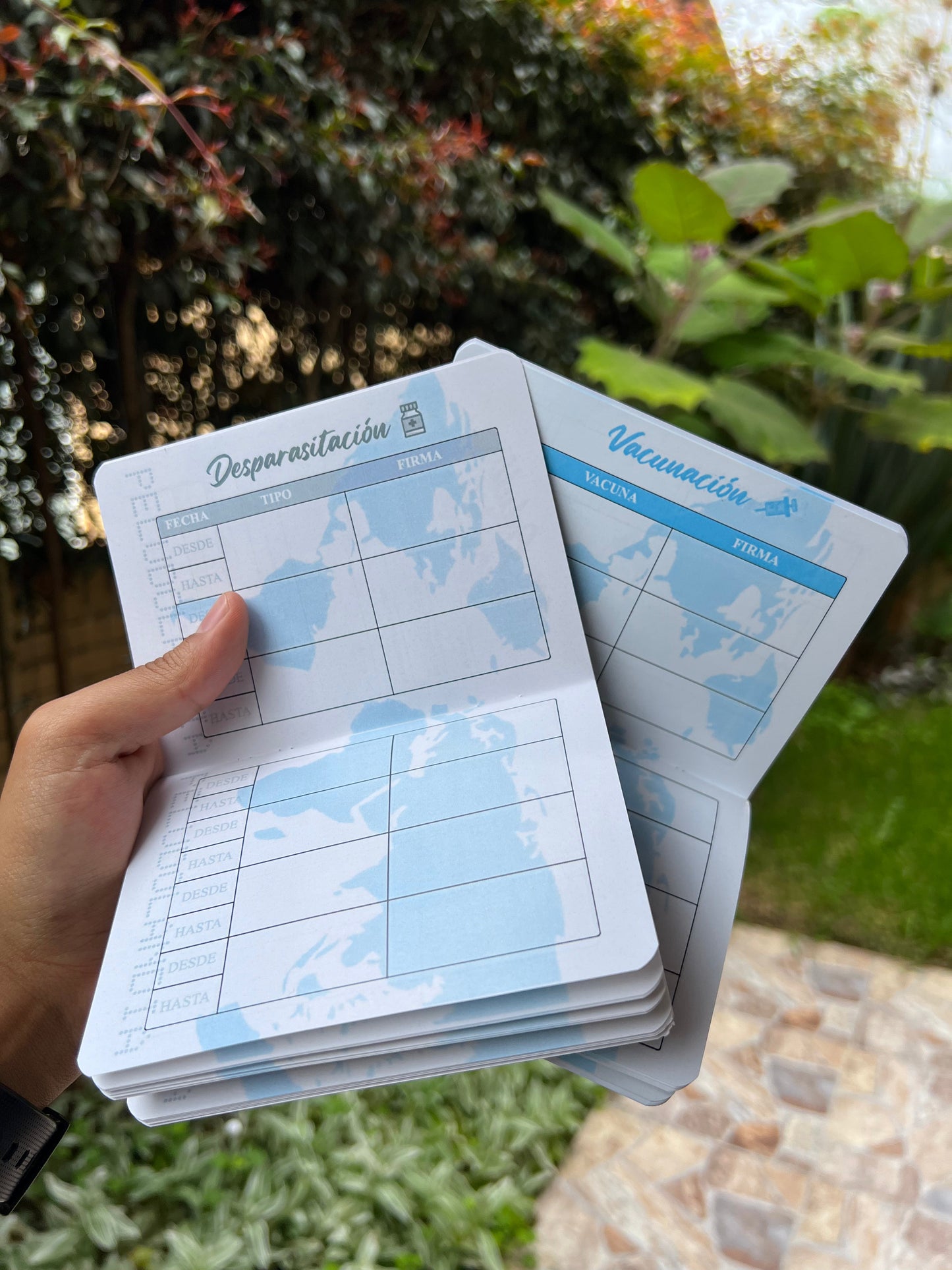 Pasaporte Para Mascotas