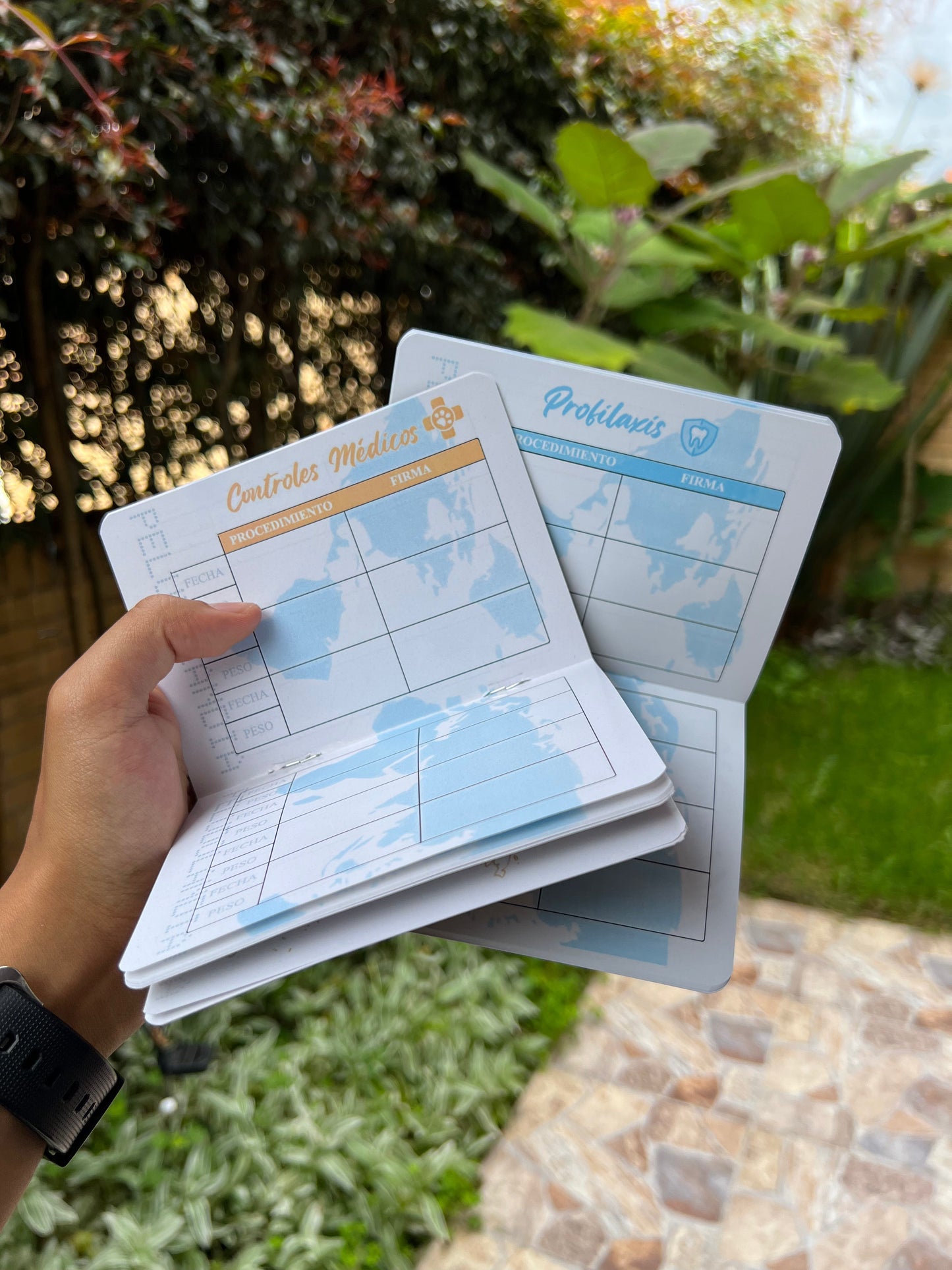 Pasaporte Para Mascotas
