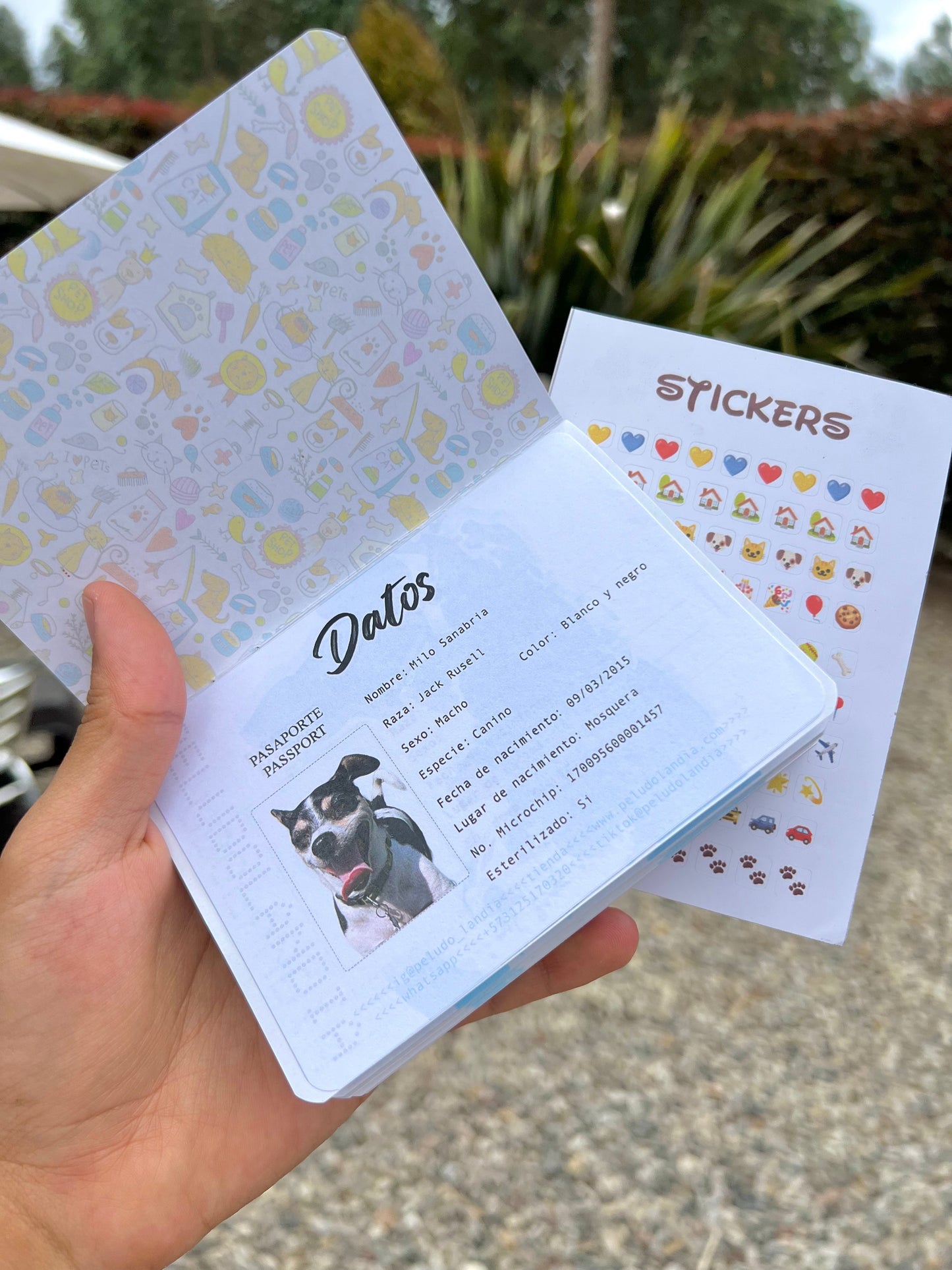 Pasaporte Para Mascotas
