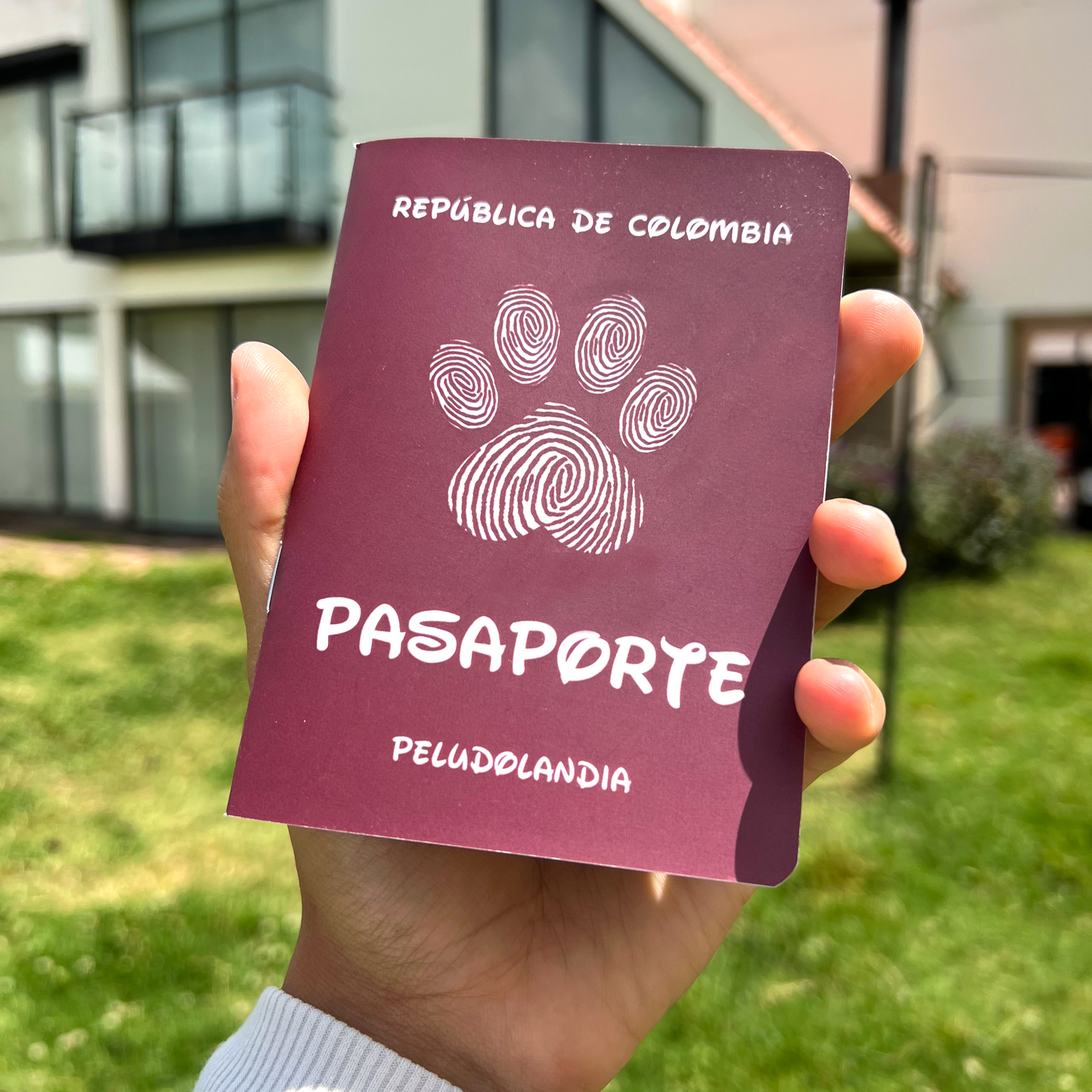Pasaporte Para Mascotas