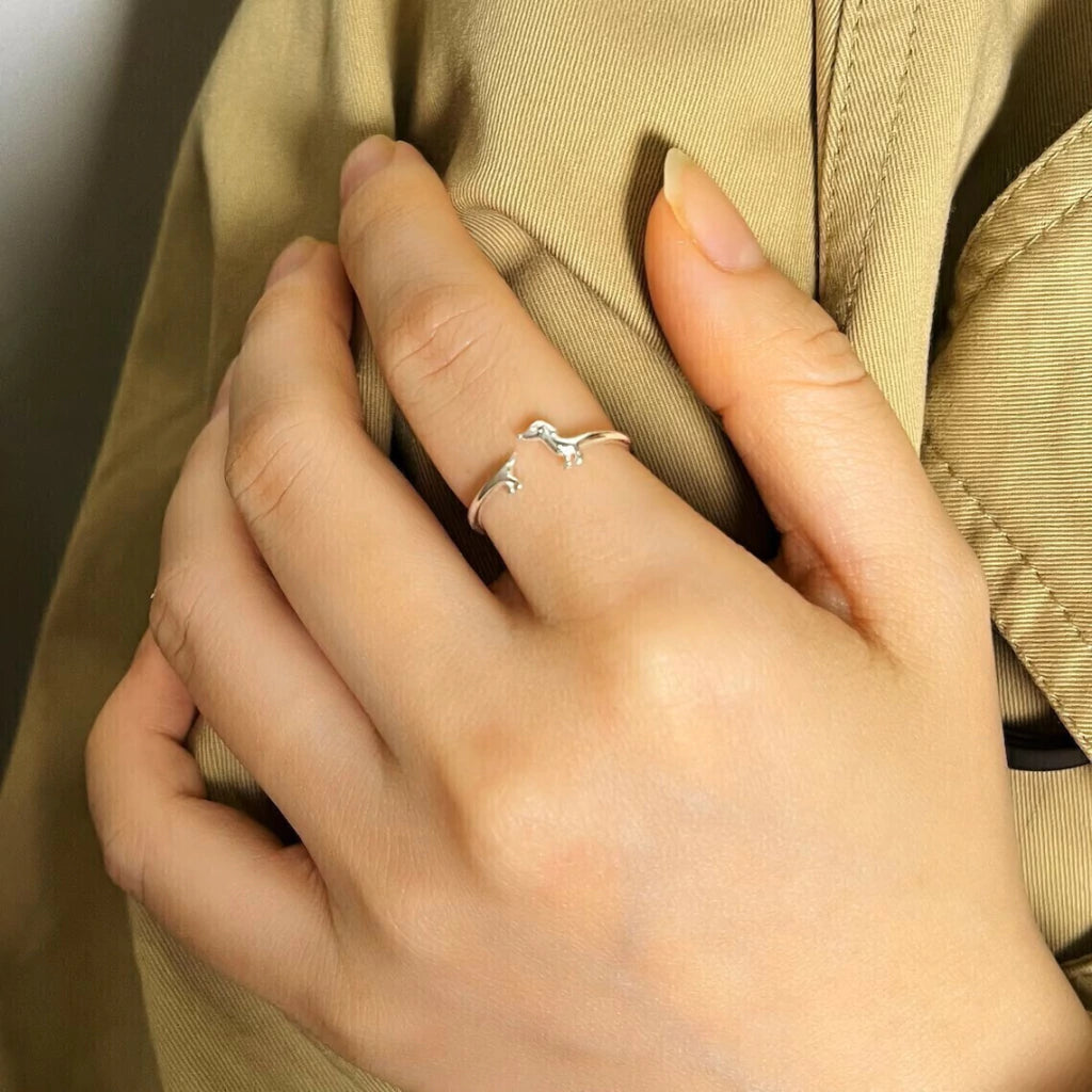 Anillo Salchi