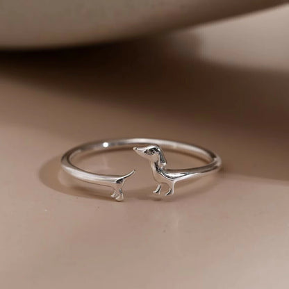 Anillo Salchi