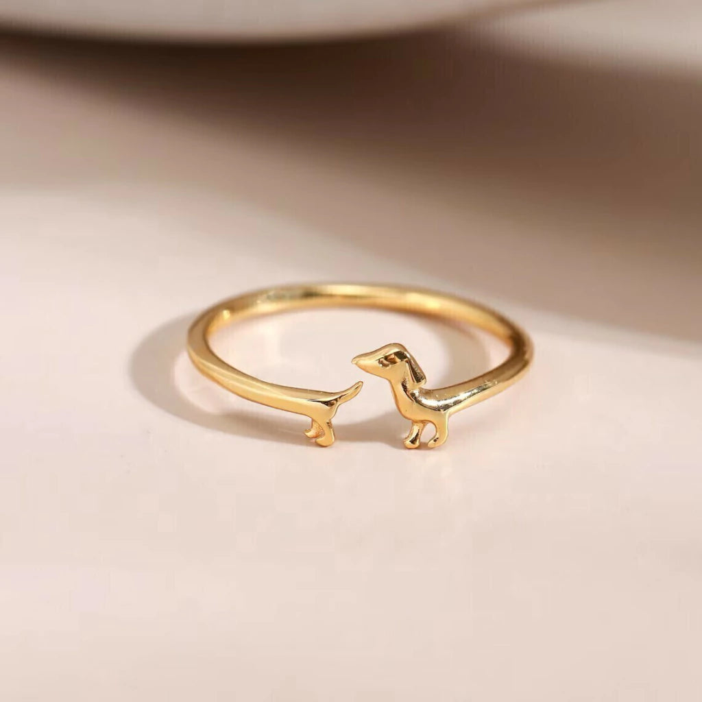 Anillo Salchi