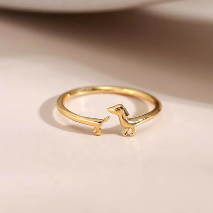 Anillo Salchi