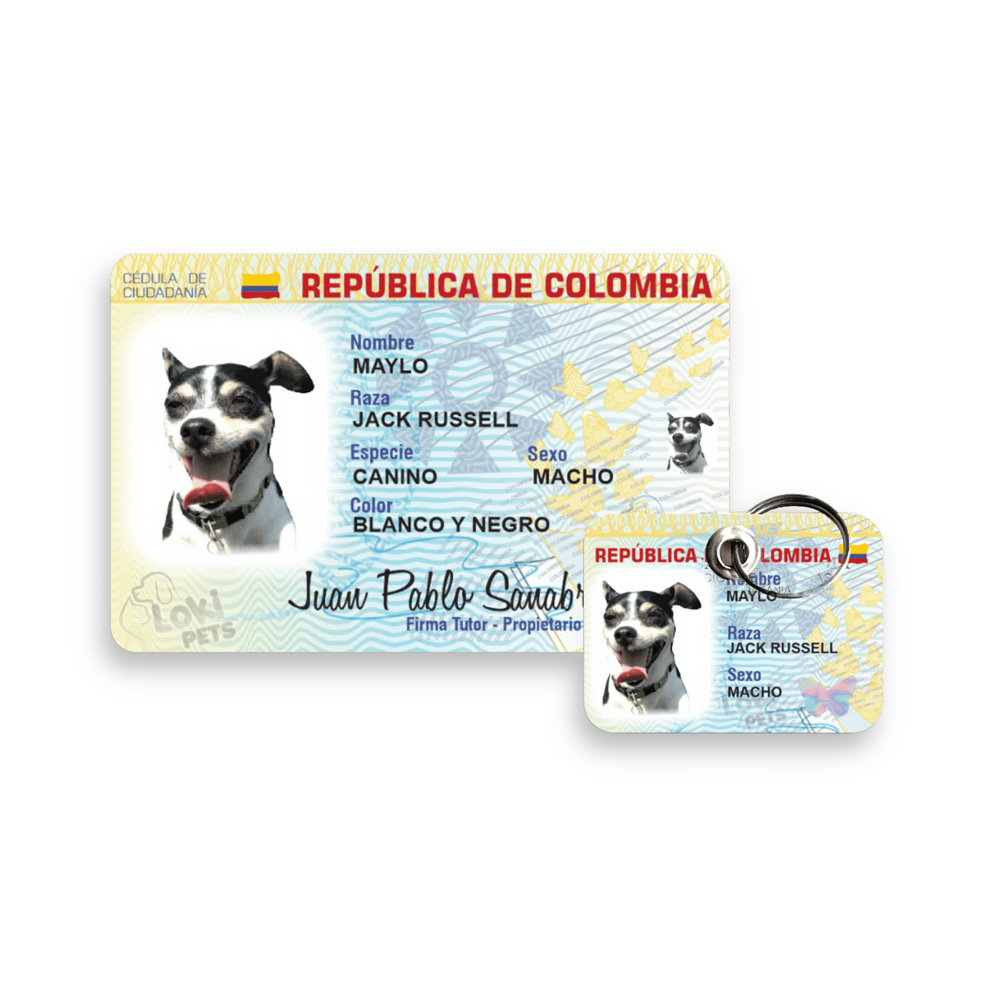 Agregar Cédulas - Peludolandia