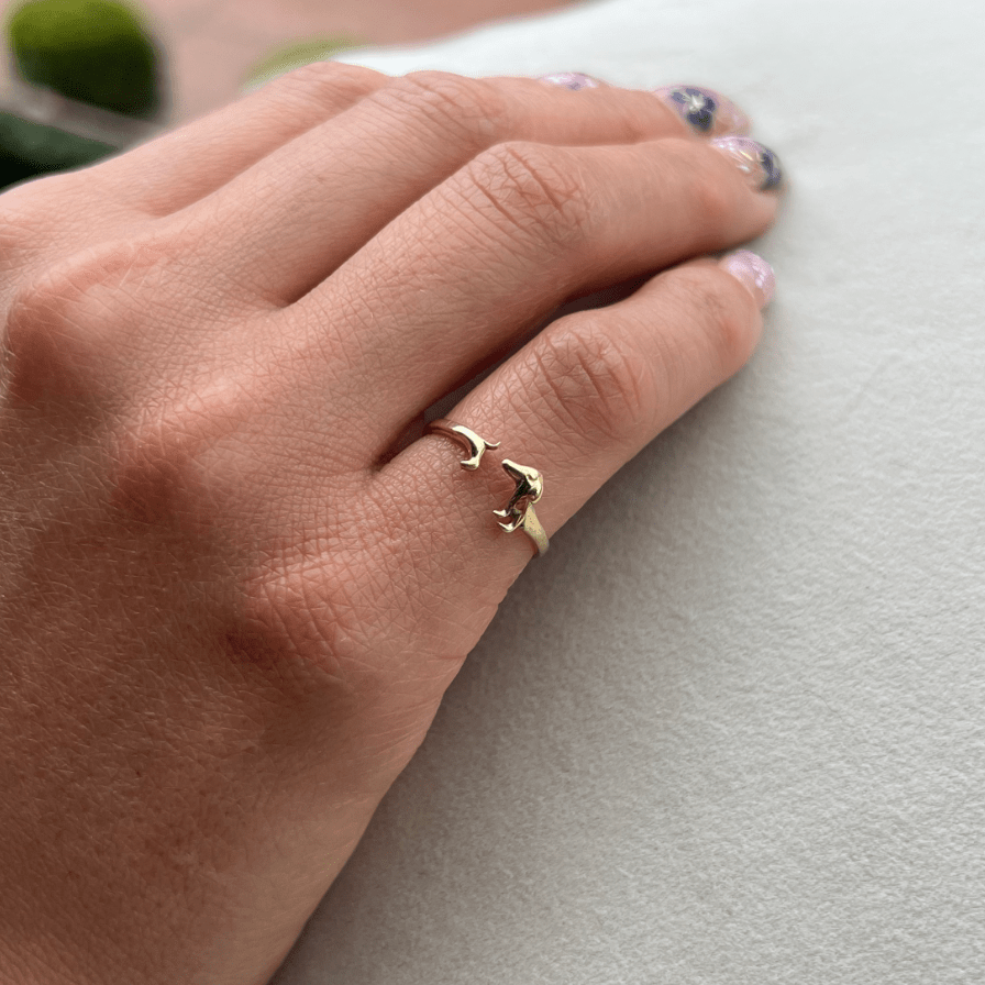 Anillo Salchi - Peludolandia