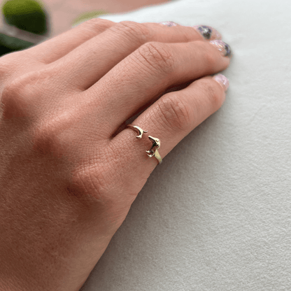 Anillo Salchi - Peludolandia