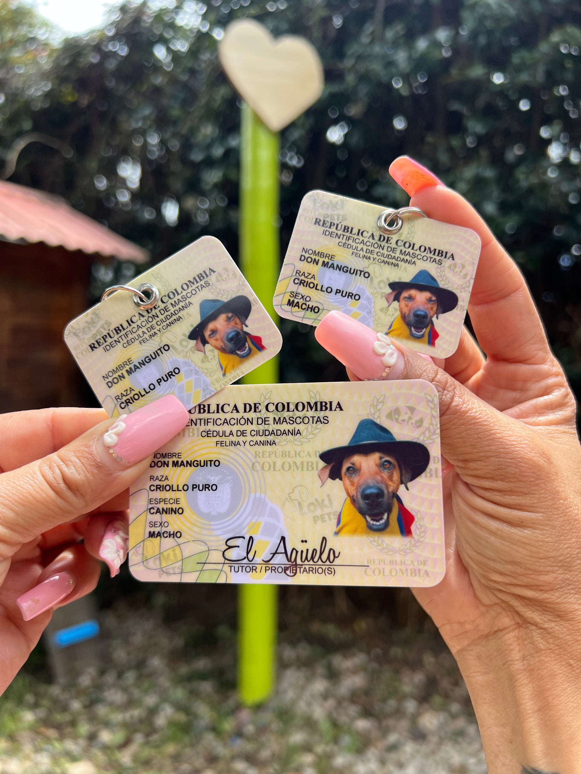 KIT Cédula + Mini Adicional - Peludolandia