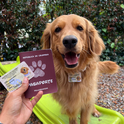 KIT Cédulas & Pasaporte Para Mascotas - Peludolandia