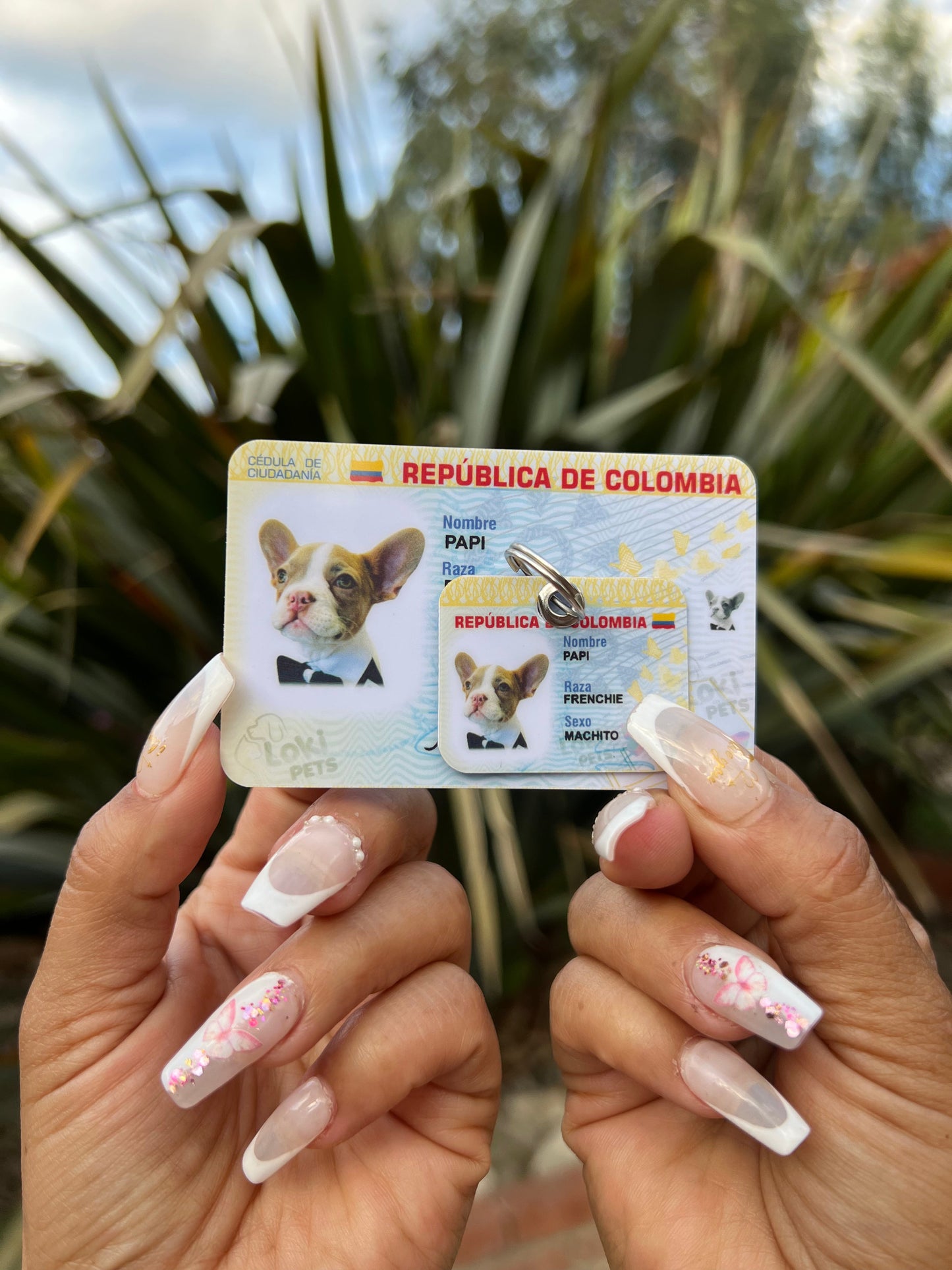 NUEVAS Cédulas Para Mascotas - Peludolandia